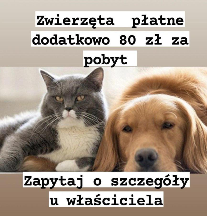 Cityaparthome6 Centrum Warszawa Eksteriør billede